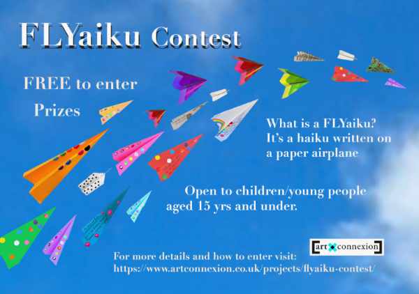 Flyaiku competition