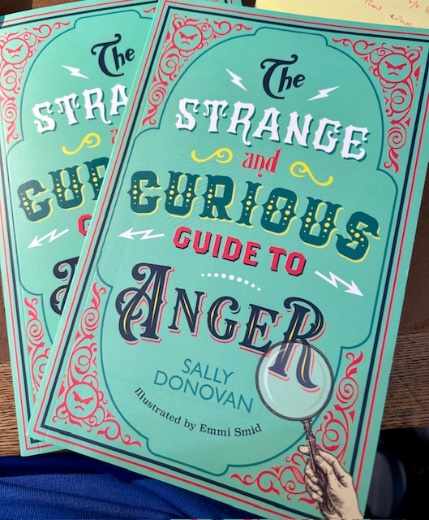 The Strange and Curious Guide to Anger by Sally Donovan